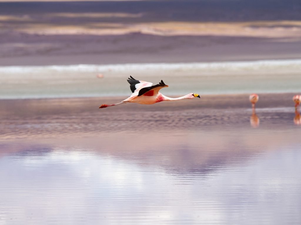 Salar de Uyuni