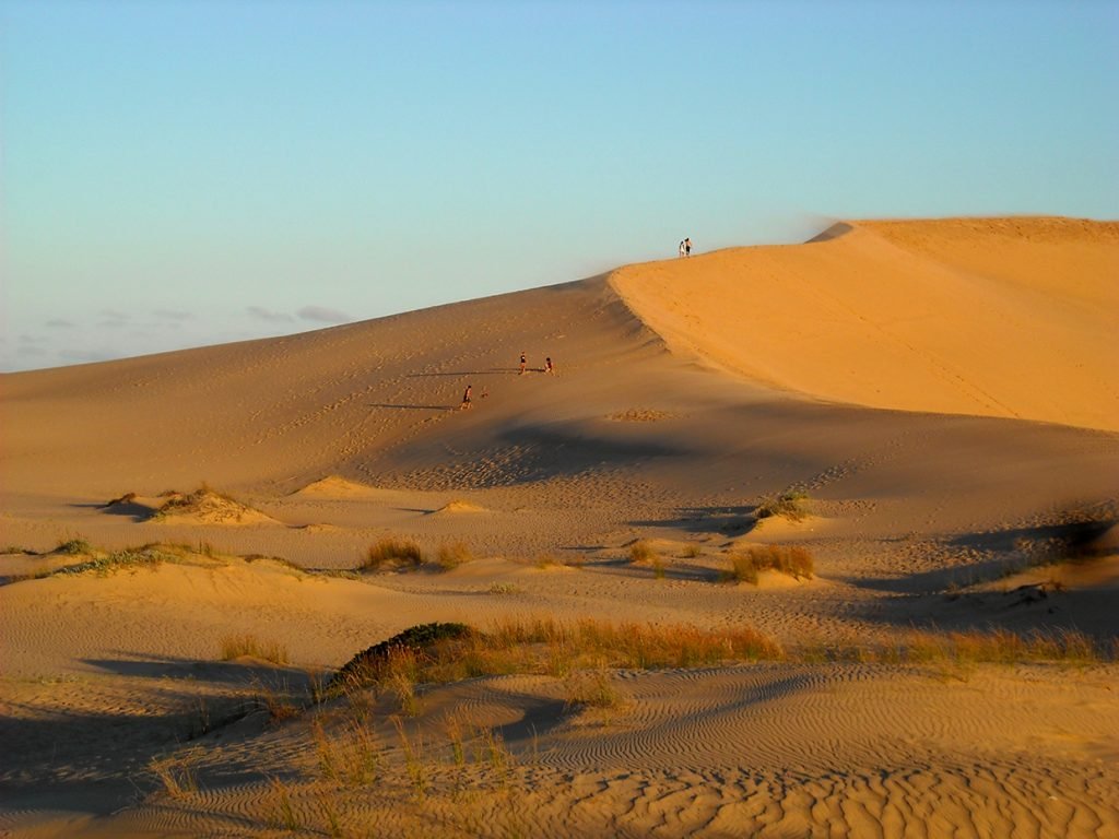 Cabo Polonio