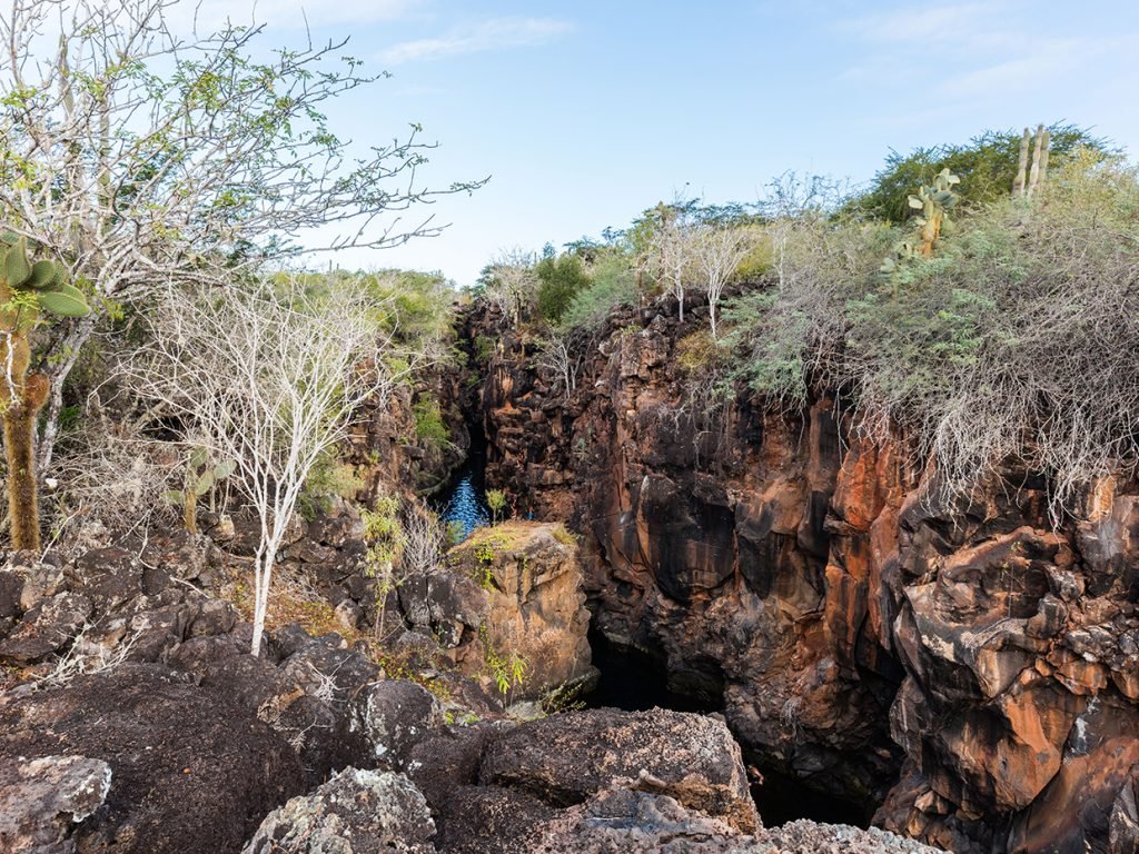 Galapagos