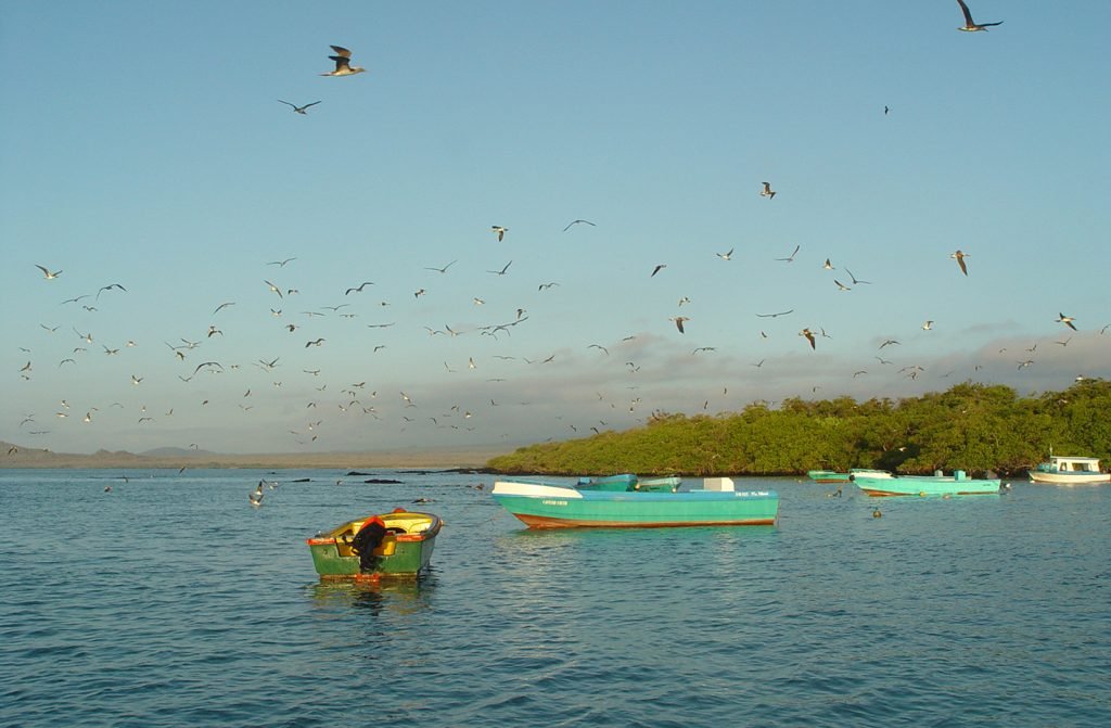 Galapagos