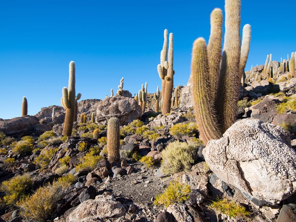 Salar de Uyuni