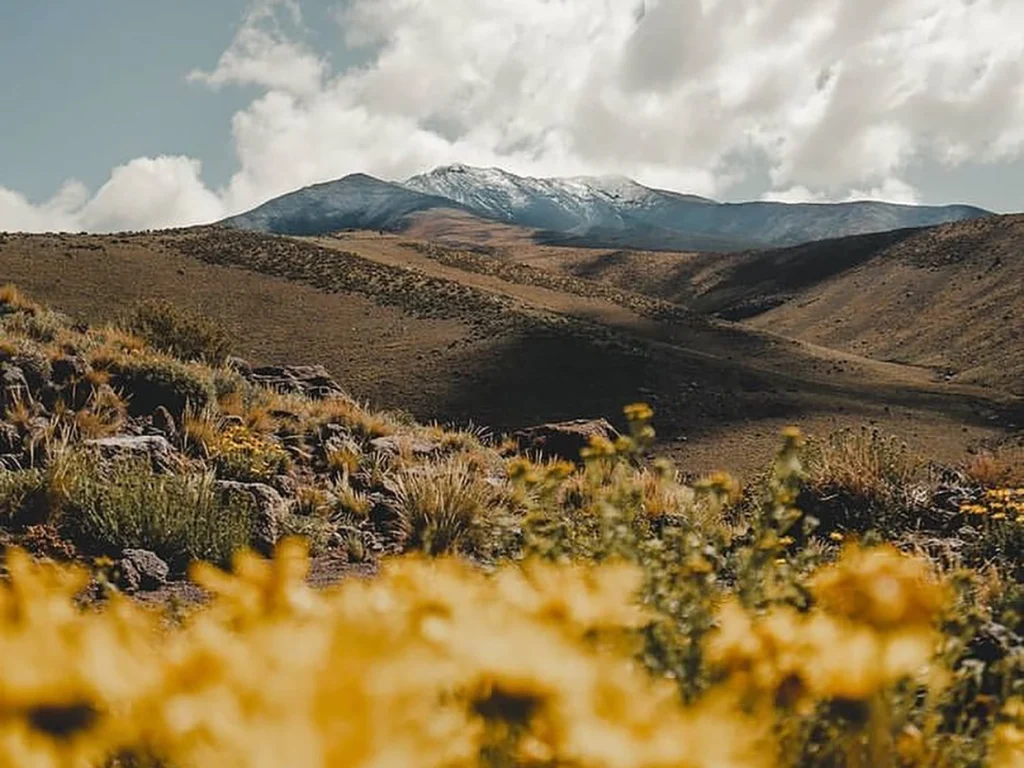 Camino del vino, San Rafael