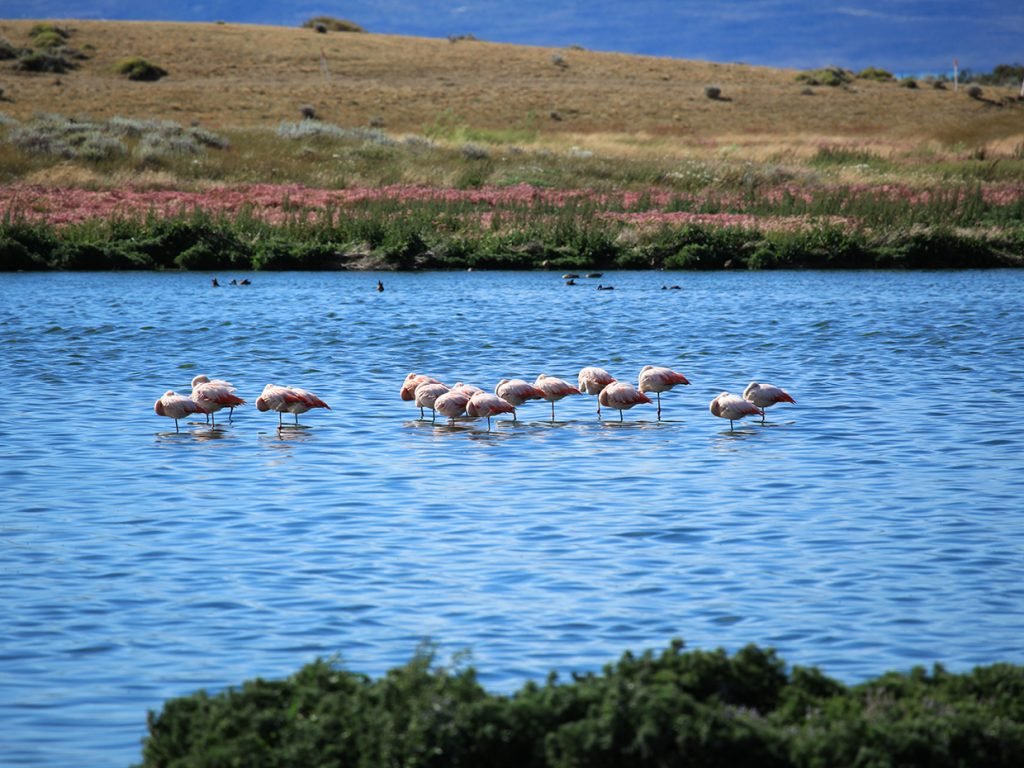 Laguna Limez, Santa Cruz, Argentina