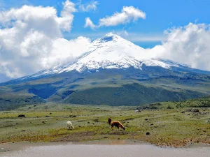 Parque nacional Cotopaxi