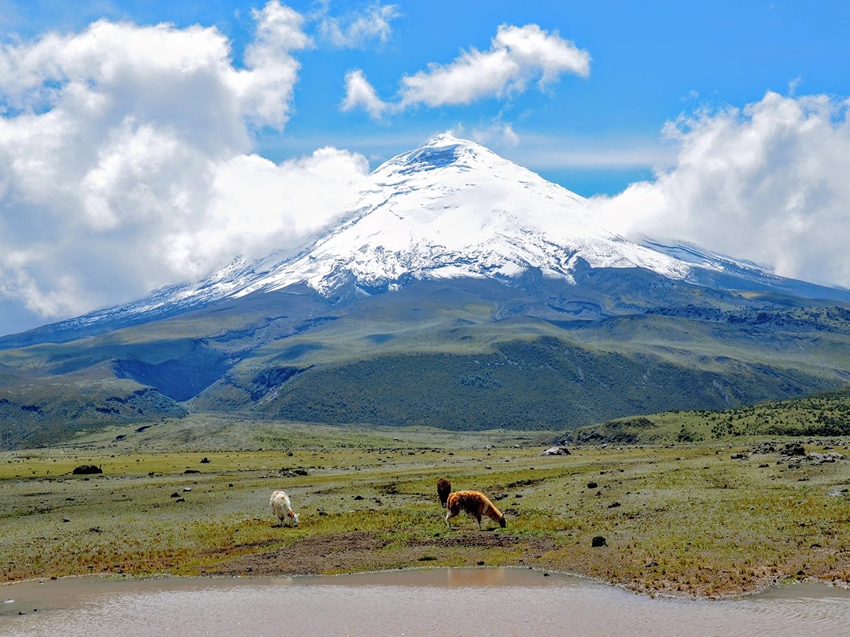 Parque nacional Cotopaxi