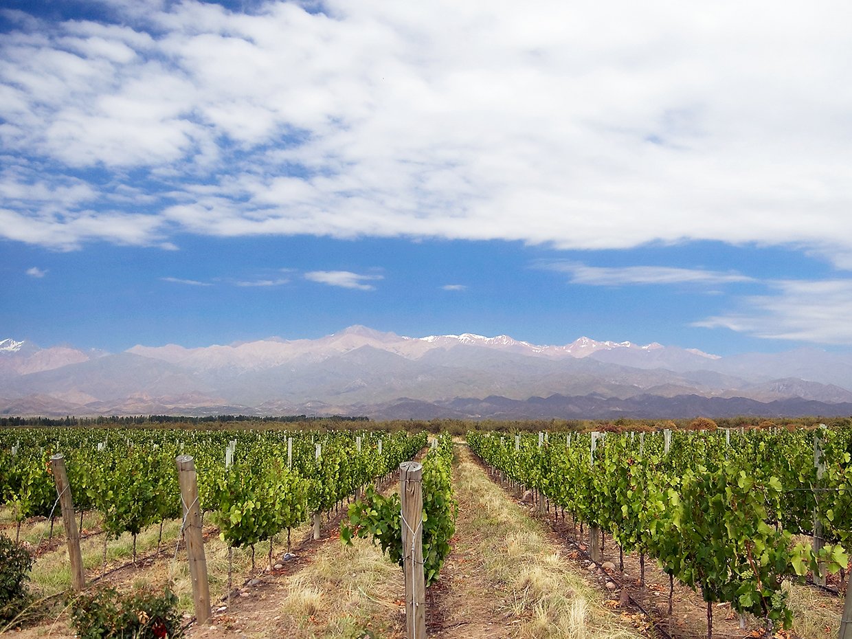 Ruta del vino, Valle de Uco