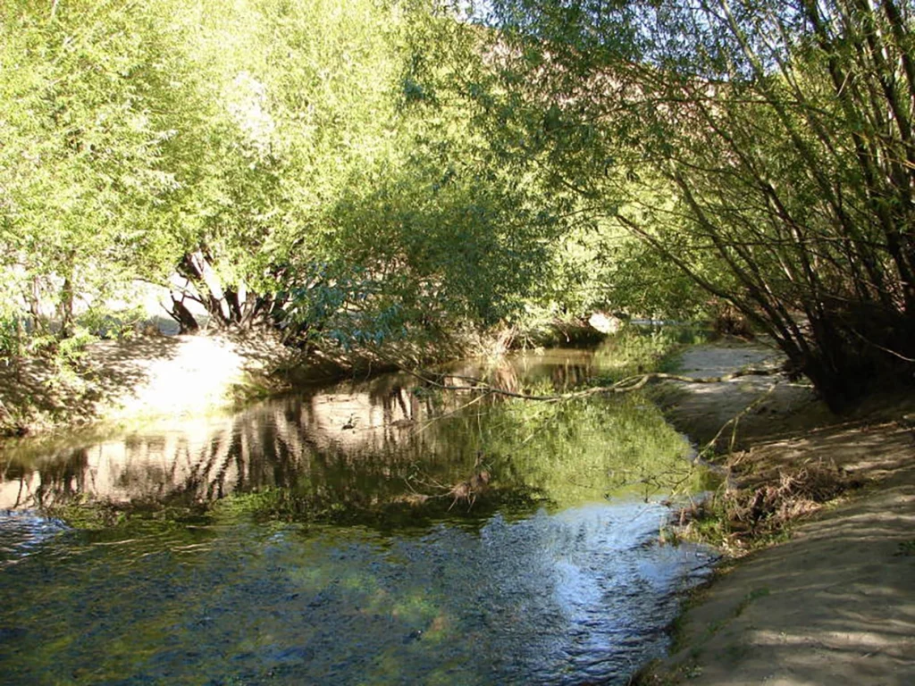 Cercanías Cueva de las manos