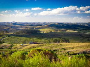 Sierras de Minas en Uruguay