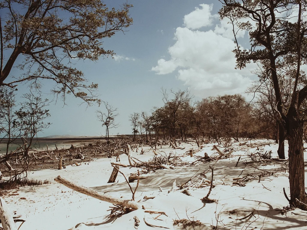 Jericoacoara