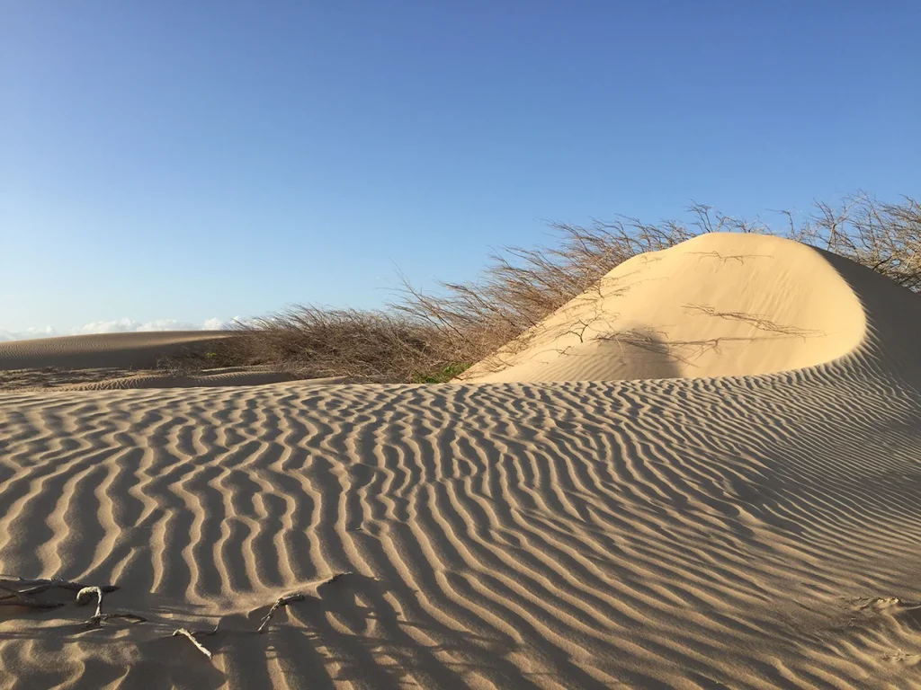 Guajira