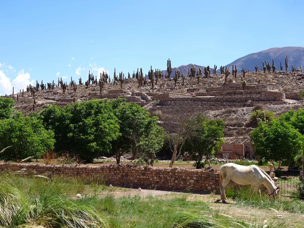 Humahuaca